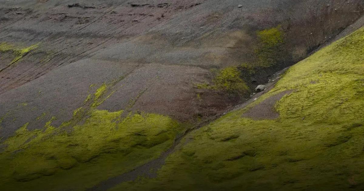 Estratégias Eficazes para Superar Barreiras Emocionais